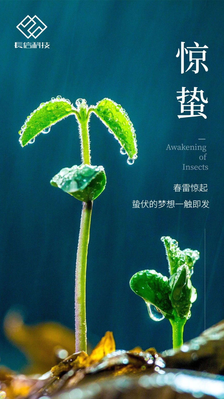 微信圖片_20250725150802.jpg